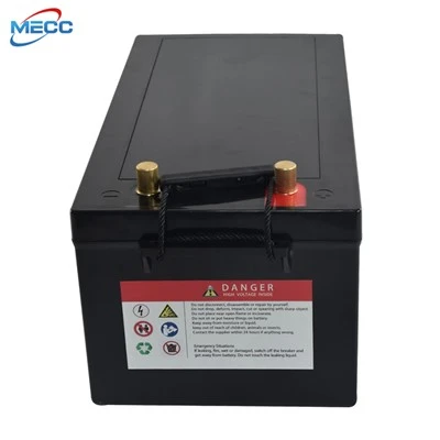 Bateria Lifepo4 de 12 V